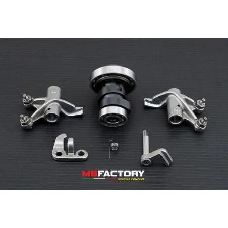 Arbol de levas potenciado Daytona Anima 4V