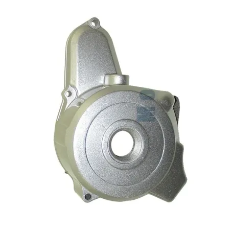 Ignition cover miniquad