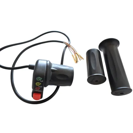 Electric throttle ebike 24v