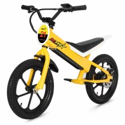Electric bicycle balance 16inch
