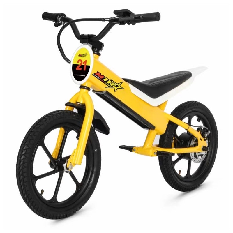 Electric bicycle balance 16inch