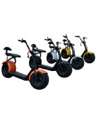 RECAMBIOS PATINETE HARLEY