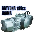 Motores Daytona pit bike
